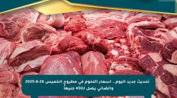 📊 تحديث جديد اليوم.. أسعار اللحوم في مطروح الخميس 28-8-2025 والضاني يصل لـ450 جنيهاً